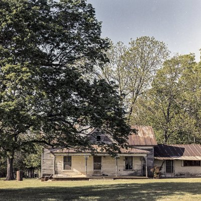 Lomography Metropolis 120 Film