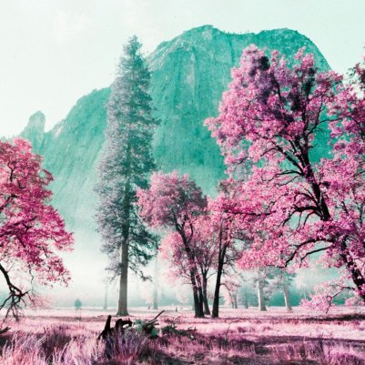 Lomography LomoChrome Purple XR ISO 100-400 Petillant Edition фотоплівка