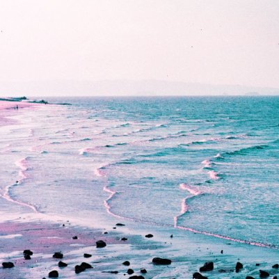 Lomography LomoChrome Purple XR ISO 100-400 Petillant Edition 