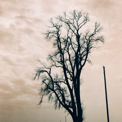 LomoChrome Turquoise 35 мм плівка 