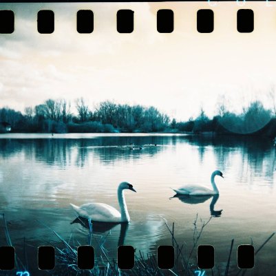Lomography Turquoise плівка купити
