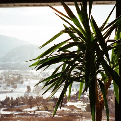 Pentax zoom 105 super Fuji Superia 400