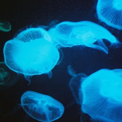 pentax-fuji-color-200