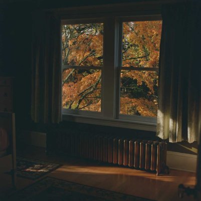 Кодак порта 120