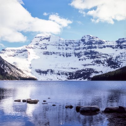 Alberta - Fujifilm Provia 100F [120] & Hasselblad 500CM