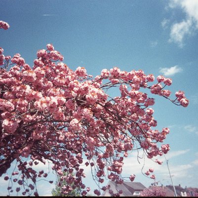 Reto Project Ultra-Wide & Slim Kodak Ultra 400 expired