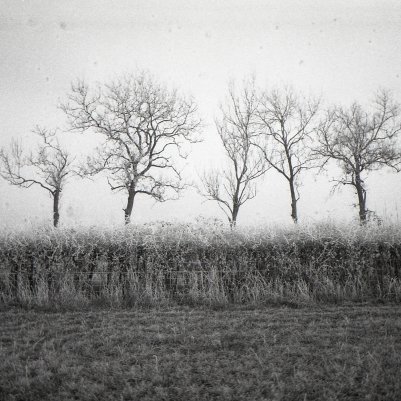 Reto Project Ultra-Wide & Slim Lomography Lady Grey B&W 400