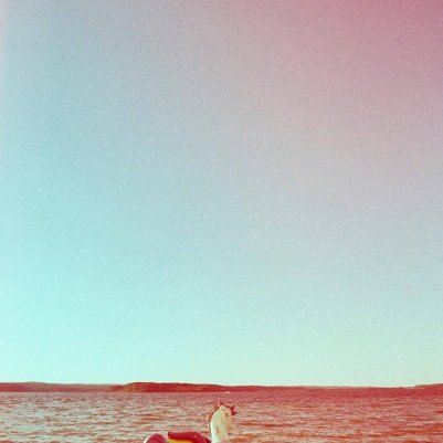 REVOLOG 600nm альтернативна фотографія процес C-41