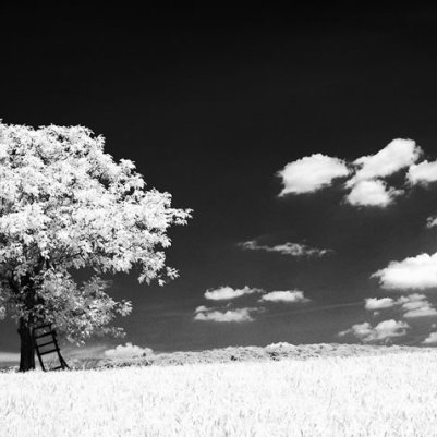 rollei infrared 400 - mamiya rb67