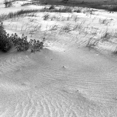 Wolfen NP100 Nikon F3HP